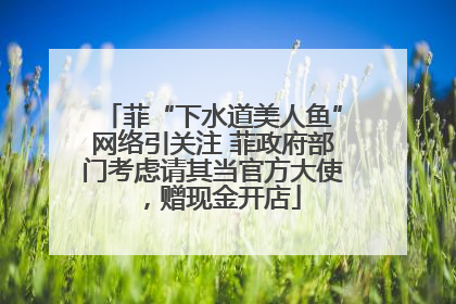 菲“下水道美人鱼”网络引关注 菲政府部门考虑请其当官方大使，赠现金开店