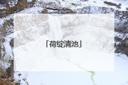 荷绽清池