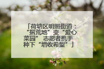 荷塘区明照街道：“撂荒地”变“爱心菜园” 志愿者携手种下“增收希望”