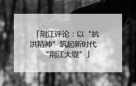 荆江评论：以“抗洪精神”筑起新时代“荆江大堤”