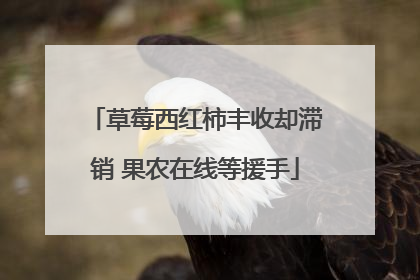 草莓西红柿丰收却滞销 果农在线等援手