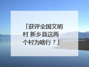 获评全国文明村 新乡县这两个村为啥行？