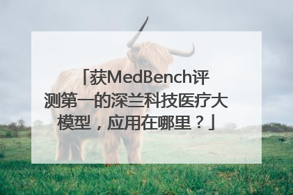 获MedBench评测第一的深兰科技医疗大模型，应用在哪里？