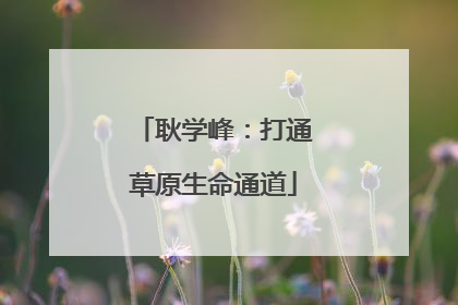 耿学峰：打通草原生命通道