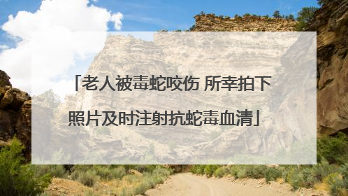 老人被毒蛇咬伤 所幸拍下照片及时注射抗蛇毒血清