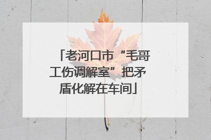 老河口市“毛哥工伤调解室”把矛盾化解在车间
