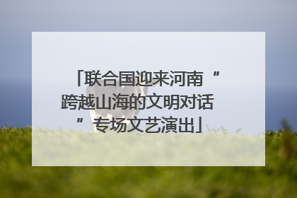 联合国迎来河南“跨越山海的文明对话”专场文艺演出