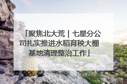 聚焦北大荒｜七星分公司扎实推进水稻育秧大棚基地清理整治工作