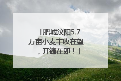 肥城汶阳5.7万亩小麦丰收在望，开镰在即！