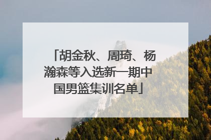胡金秋、周琦、杨瀚森等入选新一期中国男篮集训名单