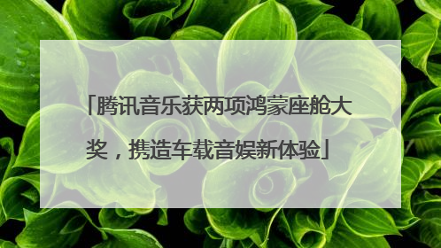 腾讯音乐获两项鸿蒙座舱大奖，携造车载音娱新体验