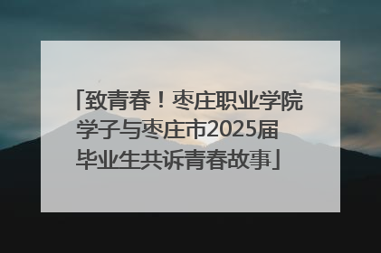 致青春！枣庄职业学院学子与枣庄市2025届毕业生共诉青春故事