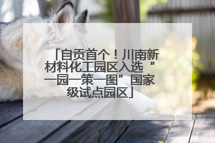 自贡首个！川南新材料化工园区入选“一园一策一图”国家级试点园区