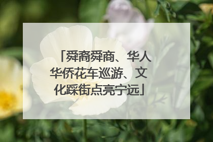 舜裔舜商、华人华侨花车巡游、文化踩街点亮宁远
