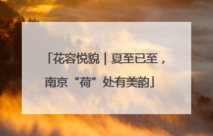 花容悦貌｜夏至已至，南京“荷”处有美韵