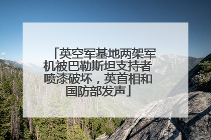 英空军基地两架军机被巴勒斯坦支持者喷漆破坏，英首相和国防部发声