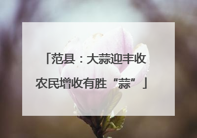 范县：大蒜迎丰收 农民增收有胜“蒜”