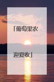 葡萄果农迎夏收