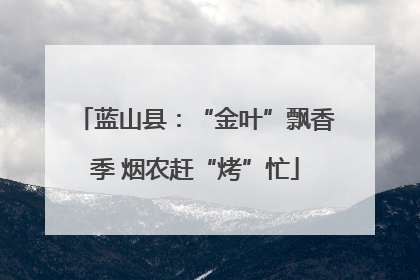 蓝山县：“金叶”飘香季 烟农赶“烤”忙