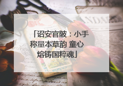 诏安官陂：小手称量本草韵 童心熔铸国粹魂