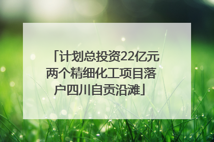 计划总投资22亿元 两个精细化工项目落户四川自贡沿滩