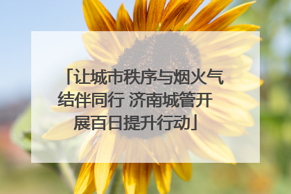 让城市秩序与烟火气结伴同行 济南城管开展百日提升行动