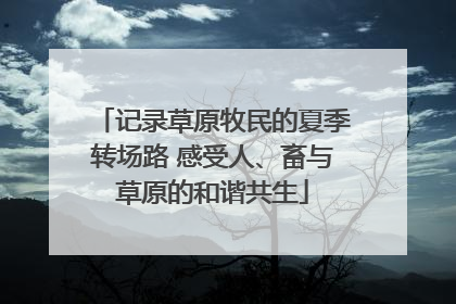 记录草原牧民的夏季转场路 感受人、畜与草原的和谐共生