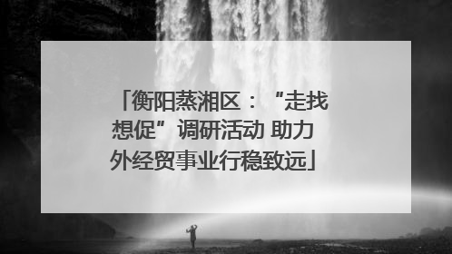衡阳蒸湘区：“走找想促”调研活动 助力外经贸事业行稳致远