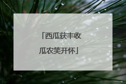 西瓜获丰收 瓜农笑开怀