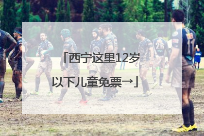 西宁这里12岁以下儿童免票→