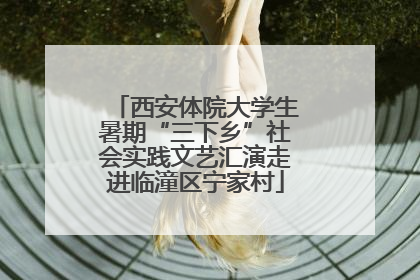 西安体院大学生暑期“三下乡”社会实践文艺汇演走进临潼区宁家村