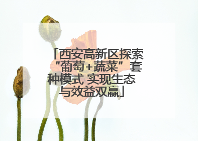 西安高新区探索“葡萄+蔬菜”套种模式 实现生态与效益双赢