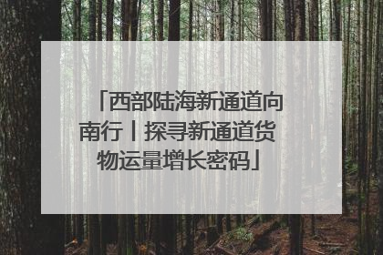 西部陆海新通道向南行丨探寻新通道货物运量增长密码