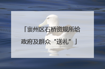 襄州区石桥资规所给政府及群众“送礼”