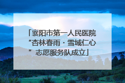 襄阳市第一人民医院“杏林春雨・雪域仁心”志愿服务队成立