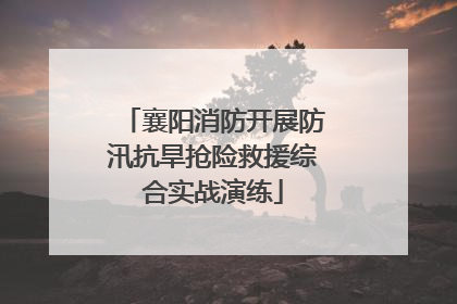 襄阳消防开展防汛抗旱抢险救援综合实战演练