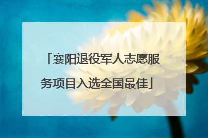 襄阳退役军人志愿服务项目入选全国最佳