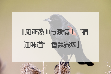 见证热血与激情！“宿迁味道” 香飘赛场