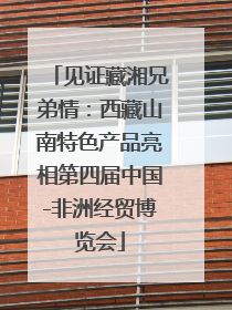 见证藏湘兄弟情：西藏山南特色产品亮相第四届中国-非洲经贸博览会