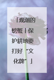 观潮的螃蟹丨保护耕地要打好“文化牌”