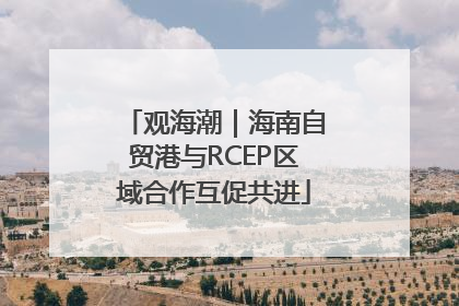 观海潮｜海南自贸港与RCEP区域合作互促共进
