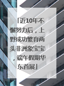 近10年不懈努力后，上野成功繁育两头非洲象宝宝，端午假期华东首展