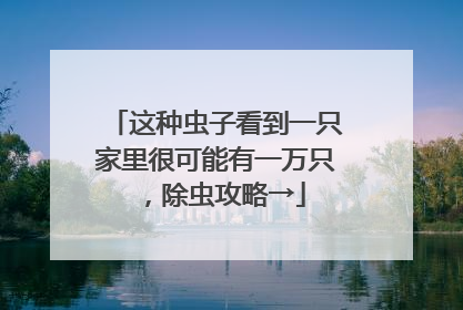 这种虫子看到一只家里很可能有一万只，除虫攻略→