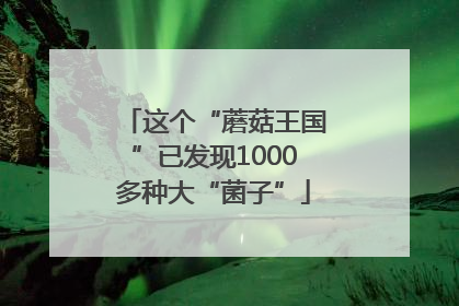 这个“蘑菇王国”已发现1000多种大“菌子”