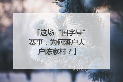 这场“国字号”赛事，为何落户大户陈家村？