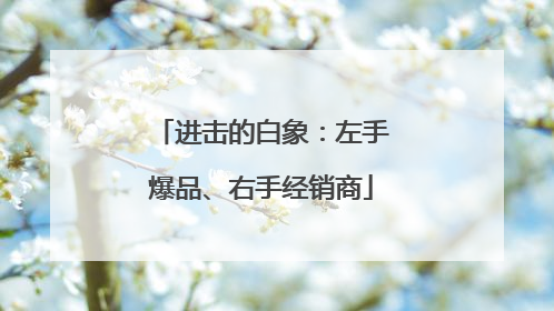进击的白象：左手爆品、右手经销商