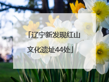 辽宁新发现红山文化遗址44处