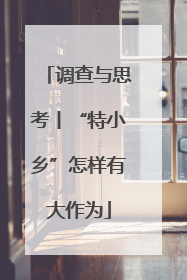 调查与思考丨“特小乡”怎样有大作为