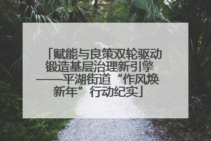 赋能与良策双轮驱动 锻造基层治理新引擎——平湖街道“作风焕新年”行动纪实