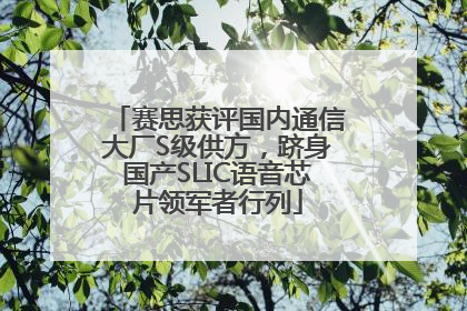 赛思获评国内通信大厂S级供方，跻身国产SLIC语音芯片领军者行列